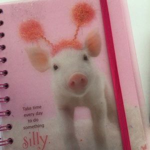 SUSAN G. KOMEN IN THE PINK NOTEBOOK NWT